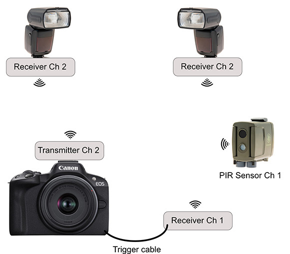Wireless image